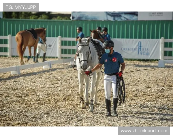 马术日常护理课程被纳入职业培训目录
